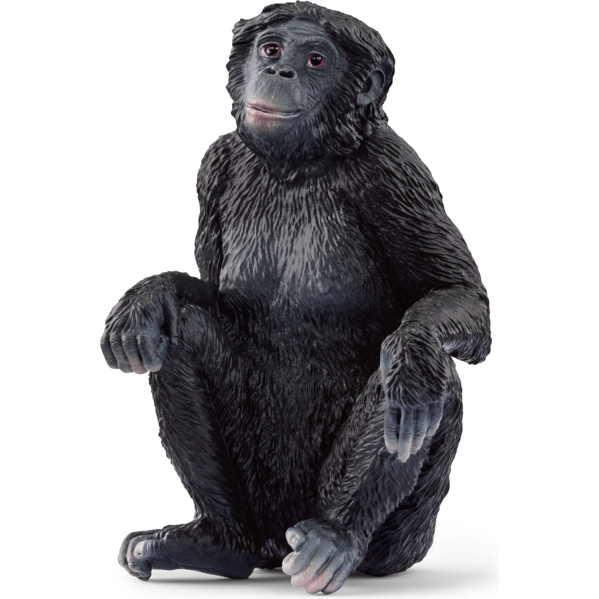 Bonobo Hun - 14875 - Schleich Wild Life