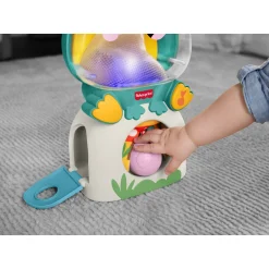 Fisher-Price Seek & Find frø interaktivt aktivitetslegetøj - 29 cm