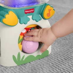 Fisher-Price Seek & Find frø interaktivt aktivitetslegetøj - 29 cm