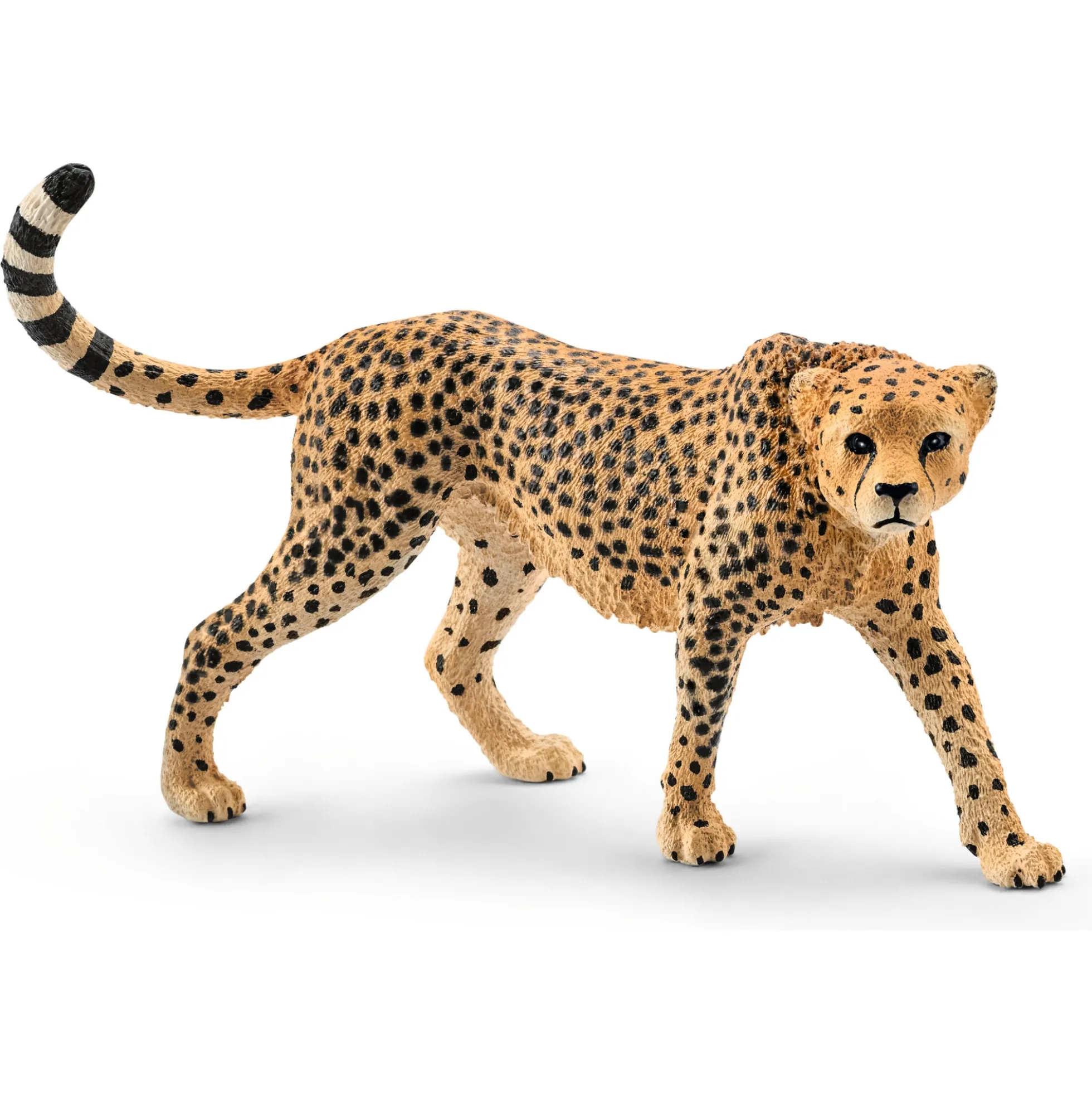 Gepard hun - 14746 - Schleich Wild Life