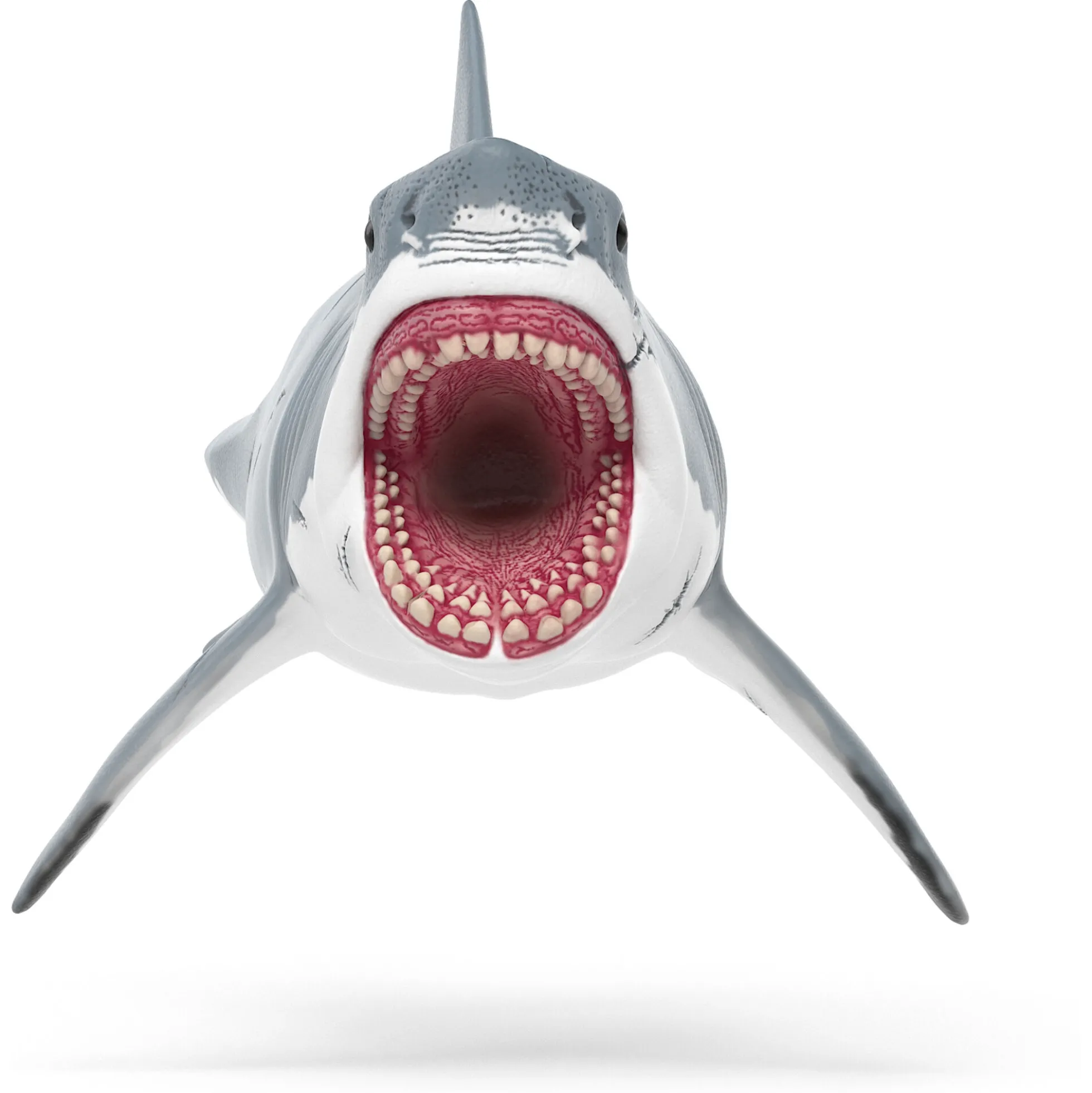 Megalodon - 15055 - Schleich Dinosaurs