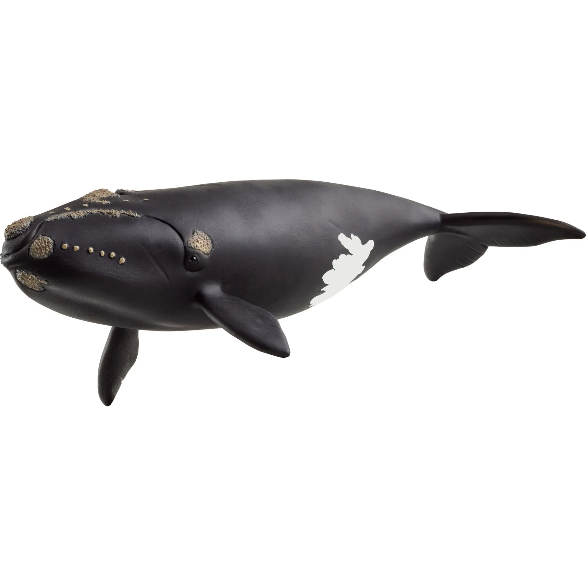 Nordatlantisk rethval - 14878 - Schleich Wild Life