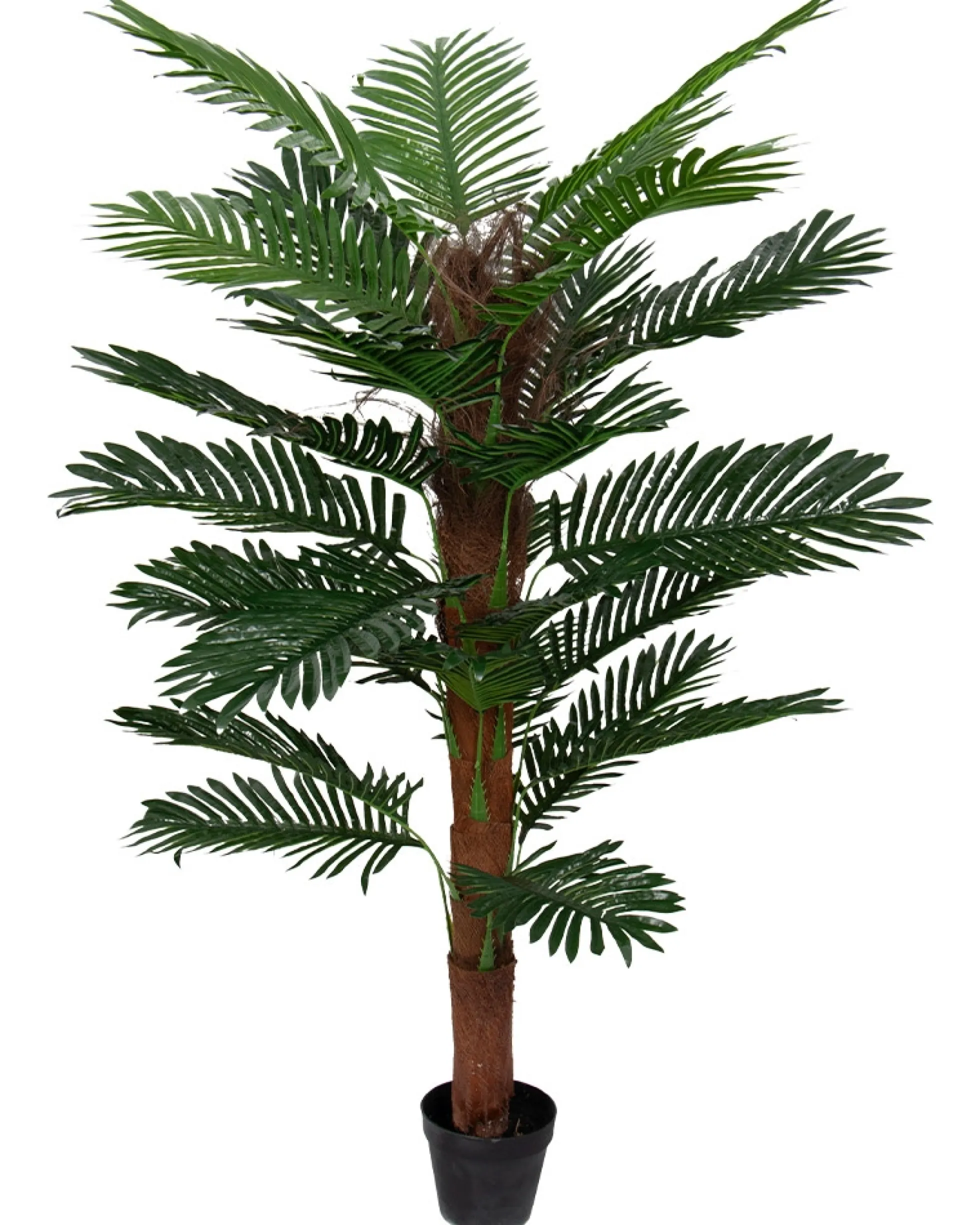 Tropisk palme - 140 cm høj - Kunstig palme mosstok i sort potte -