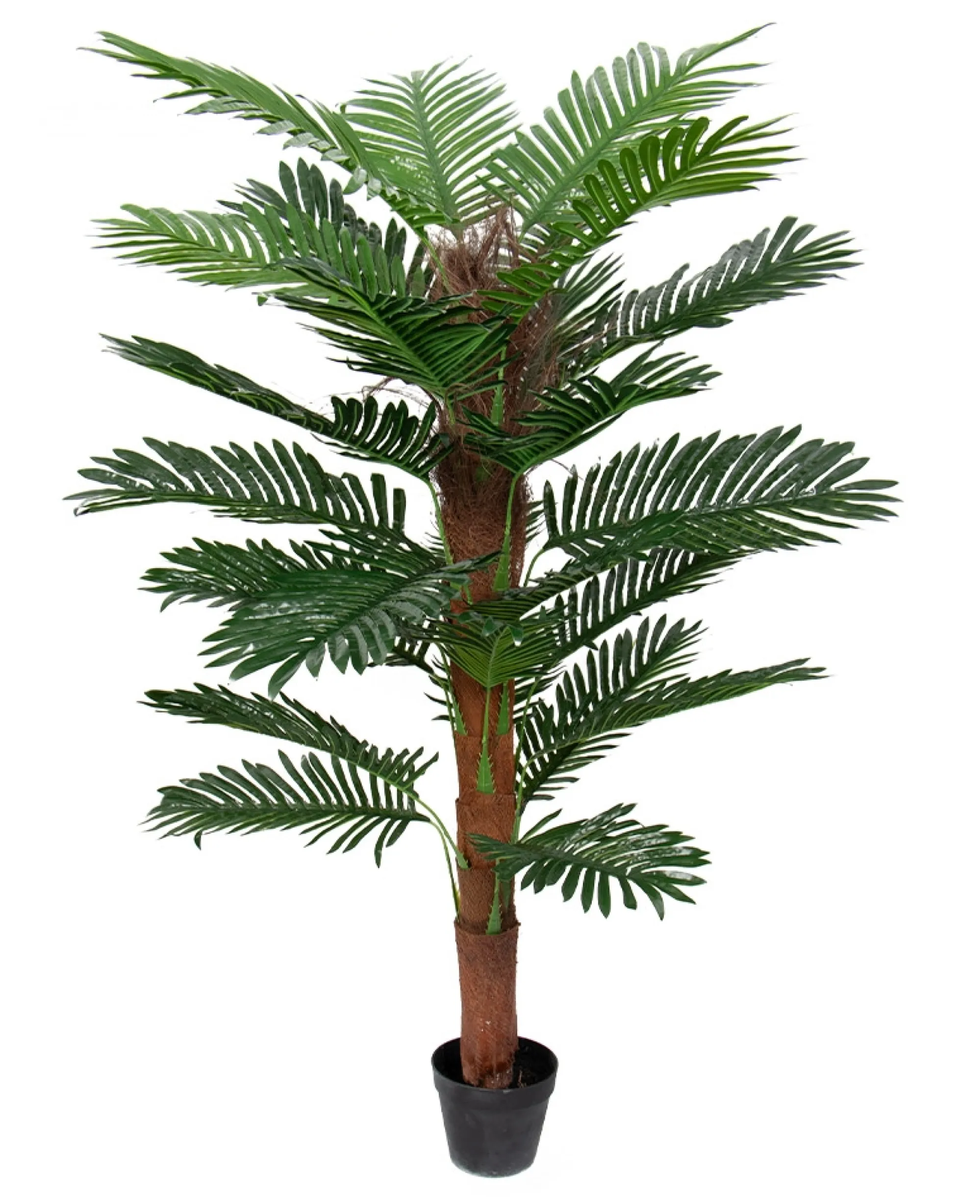 Tropisk palme - 140 cm høj - Kunstig palme mosstok i sort potte -