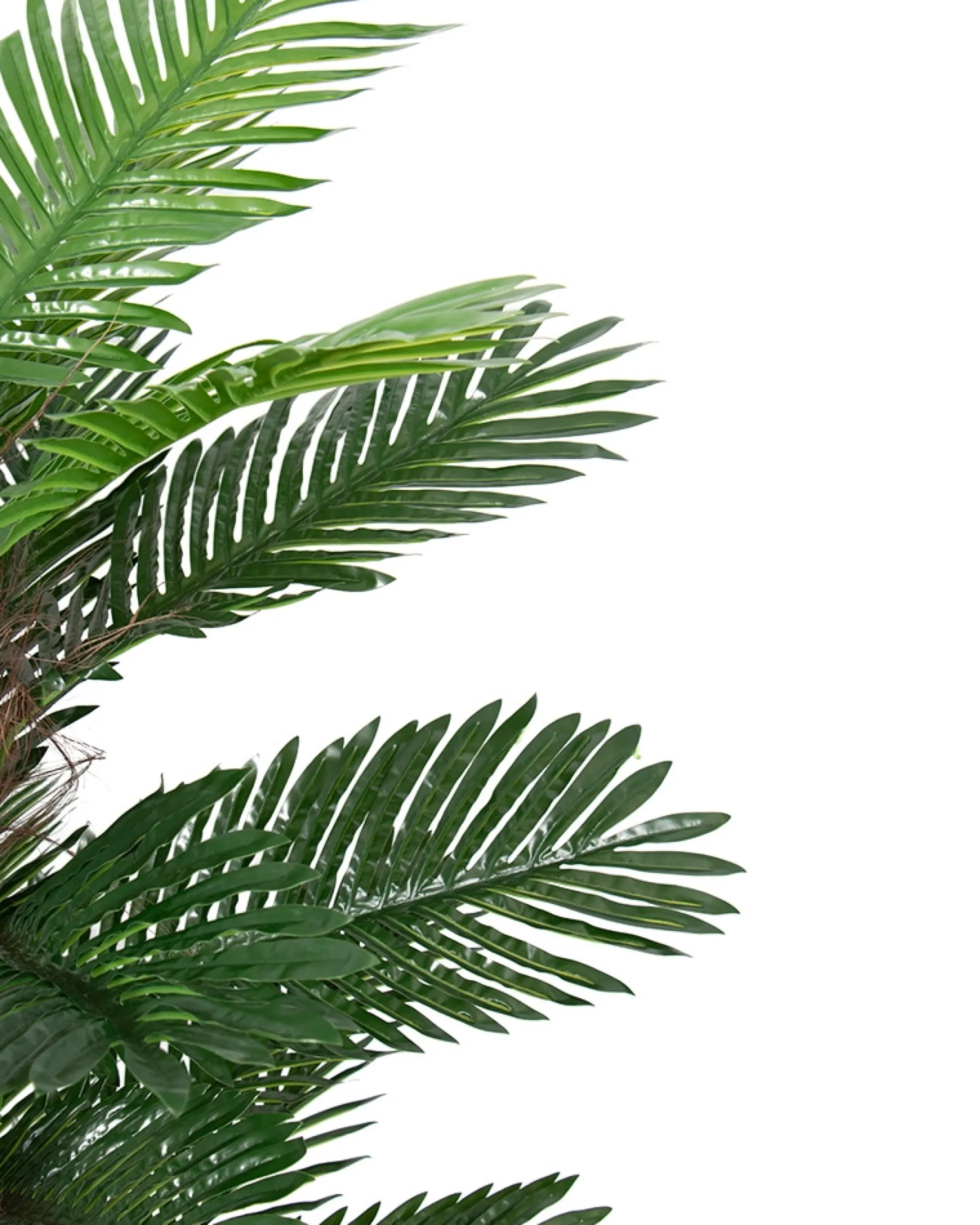 Tropisk palme - 140 cm høj - Kunstig palme mosstok i sort potte -